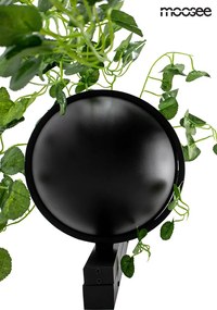 King Home MOOSEE PLANT WALL MSE010400222 Fali lámpa 1x16W/LED 3000K 1280LM IP20