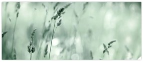 Kép - Zöld rét (120x50 cm)