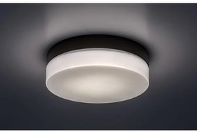Rabalux 75025-LED Fürdőszobai mennyezeti lámpa GAELO LED/15W/230V átm. 23 cm fekete