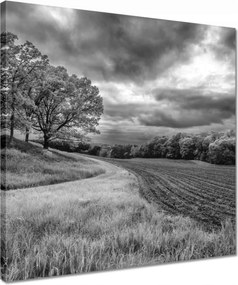 Vászonkép 40x40 Fekete-fehér mező