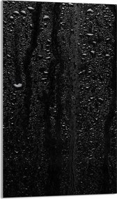 Üveg Vágódeszka 30x52 Fekete Konyhai