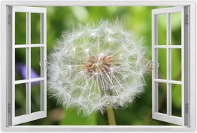 Poszterek 90x60 Pitypang VirĂĄg VirĂĄgok