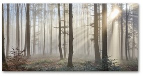 Akrilüveg fotó Köd az erdőben oah-98968412