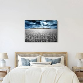 A mező képe (90x60 cm)