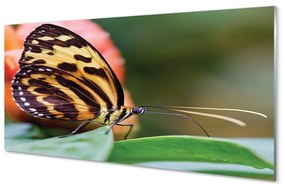 Üvegképek pillangó 120x60cm