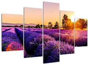 A levendula mező képe, Provence (150x105 cm)