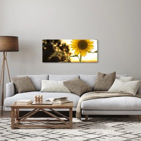 Napraforgó képe (120x50 cm)