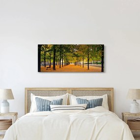 Egy kép az őszi fák sikátorából (120x50 cm)