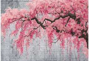 Fotótapéta Fa Beton Absztrakt Hálószoba Nappali Tapéta Flizelina 300x210