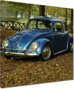 Vászonkép 90x90 Bogár Vw autó]