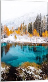 Üveg Vágódeszka 30x52 Kilátás a Konyhába