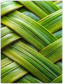 Poszterek 30x40 Zöld fonott zöld rattan fonott lemez