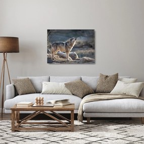Üveg kép - Üvöltő farkas (70x50 cm)