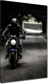 Vászonkép 80x120 Motoros tökéletes