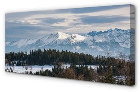 Canvas képek hegyi tél 120x60 cm