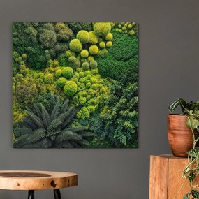 DUBLEZ | Dekoratív kép moha - Lélegzet