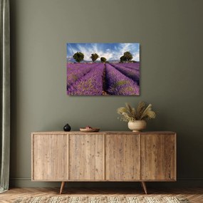 Üveg kép - Levendula mező és hegyek (70x50 cm)