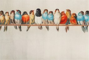 Flizelin tapéta Divatos 3D ragasztóval Fali Madarak az ágon 104x70 Ragasztó