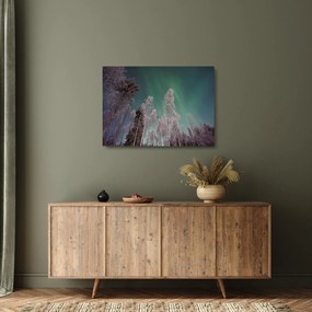 Az aurora borealis képe fagyos fák felett (üvegen) (70x50 cm)