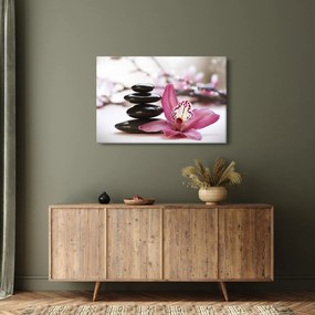 Masszázs kövek és orchideák képe (90x60 cm)