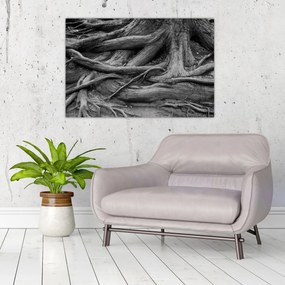 Kép - A fa gyökerei (90x60 cm)