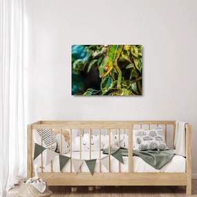 Kaméleon képe (üvegen) (70x50 cm)
