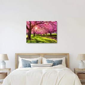 A virágzó cseresznye képe, Hurd Park, Dover, New Jersey (üvegen) (70x50 cm)