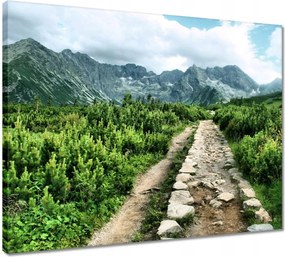Vászonkép 50x40 Kő út Tátra