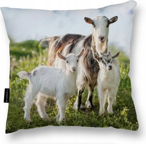 Párna 40X40 Kecske nagy puha alvó boglárka dekoratív párna