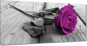 Vászonkép 180x90 Lila rózsa