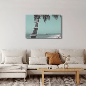 Kép - Palma a Karib-tengeren (90x60 cm)