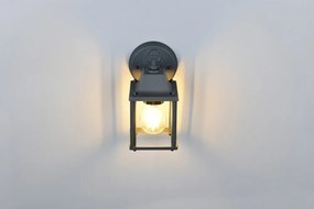 Fali kültéri lámpa (magasság 22,5 cm) Mirande – Trio