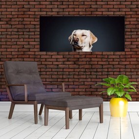 Labrador képe (120x50 cm)