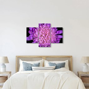 Részletes virágkép (90x60 cm)