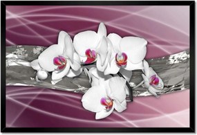 Poszterek keretben 60x40 Orchideák