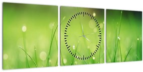 Kép - harmatos fű (órával) (90x30 cm)