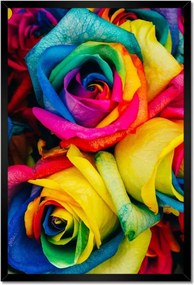 Poszterek keretben 40x60 Színes rózsák Virágok