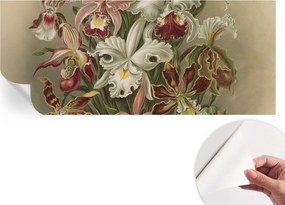 Dekoratív Öntapadós Tapéta Divatos Minták Virágos elegancia 250x104 cm