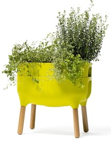 Műanyag önöntözős termesztő virágláda Urbalive – Plastia