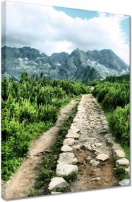 Vászonkép 30x40 Kő út Tátra