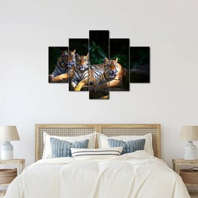 Kép - Tigris testvérek (150x105 cm)