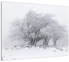 Kép - fehér tél (70x50 cm)