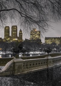 Poszter 42x59,4cm Központi park Manhattan panorámával, Assaf Frank