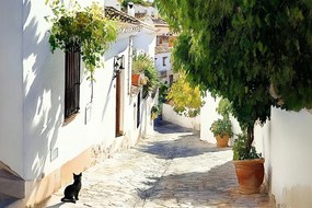 Vászonkép Canvas Tájkép Város Dél Utca Fekete Macska 120x80