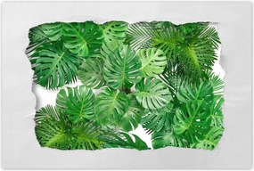 Poszterek 90x60 Monstera Lyukas levelek
