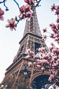 Plakát Párizs - Eiffel -torony, (61 x 91.5 cm)