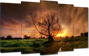 Vászonkép 100x60 Tölgy a croissant-ban Nyugat