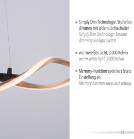 Paul Neuhaus modern függeszték polina fekete arany pln9142-18