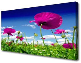 Vászonkép Sky Meadow Flowers Nature 100x50 cm