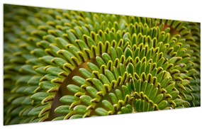 Kép - Fern (120x50 cm)